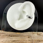 Sterling Silver Vine & Leaf Ear Cuff • Dainty No‑Piercing Earring