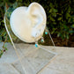 Sterling Silver Sleeper Hoop Earrings • Minimalist Hoops with Optional Kingman Turquoise Dangle